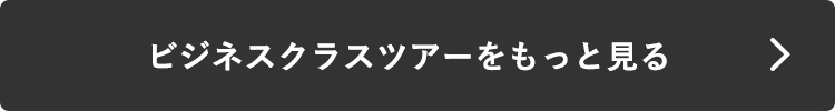 ビジネスクラスツアーをもっと見る