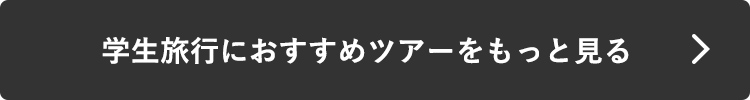 学生旅行におすすめツアーをもっと見る