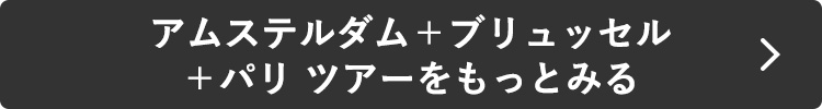 アムステルダム＋ブリュッセル＋パリツアーをもっとみる