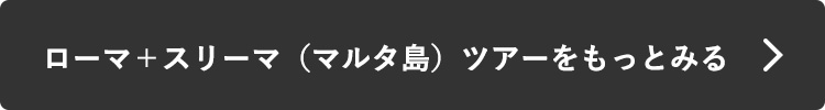ローマ＋スリーマ（マルタ島ツアーをもっとみる