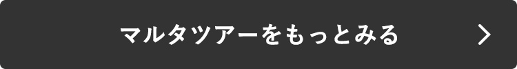 マルタツアーをもっとみる