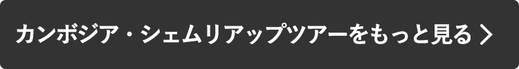 カンボジア・シェムリアップツアーをもっと見る