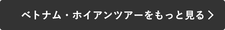 ベトナム・ホイアンツアーをもっと見る