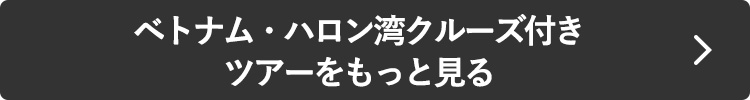ベトナム・ハロン湾クルーズ付きツアーをもっと見る