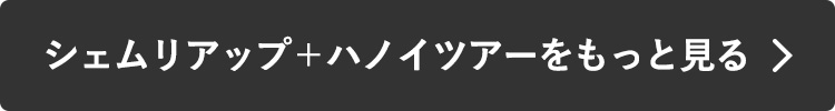 シェムリアップ＋ハノイツアーをもっと見る