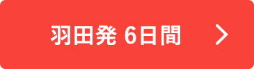 羽田発 6日間