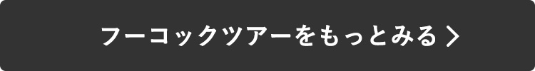 フーコックツアーをもっとみる