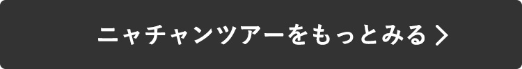 ニャチャンツアーをもっとみる