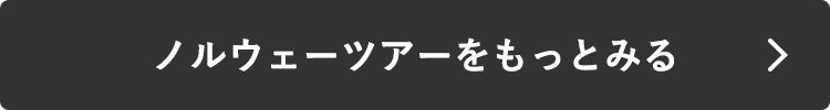 ノルウェーツアーを探す