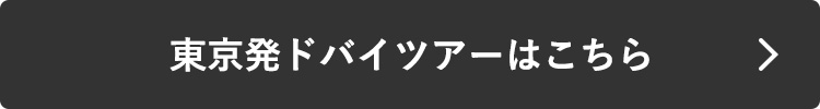 東京発ドバイツアーはこちら