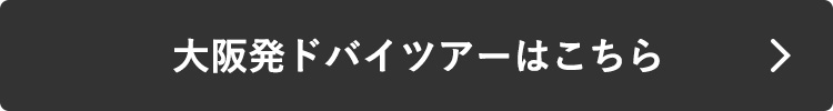 大阪発ドバイツアーはこちら