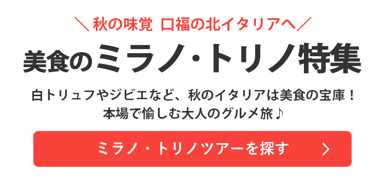 ミラノ・トリノツアーを探す"