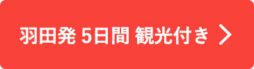 羽田発5日間 観光付き