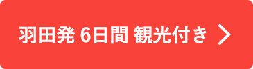 羽田発6日間 観光付き