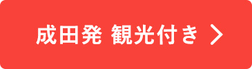 成田発 観光付き