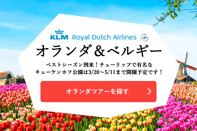 オランダツアーを探す