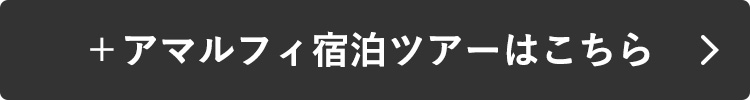 ＋アマルフィツアーはこちら