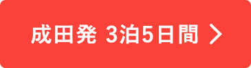 成田発3泊5日間