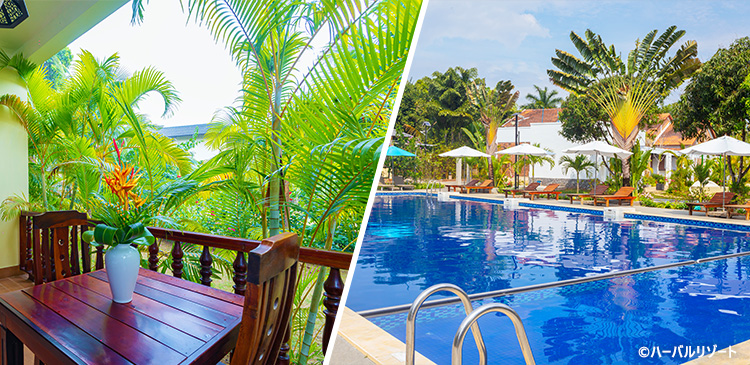 ハーバルリゾート ツアー写真