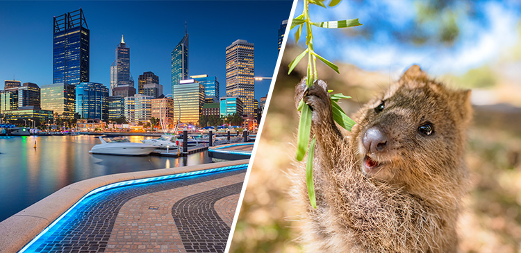 パース ツアー写真