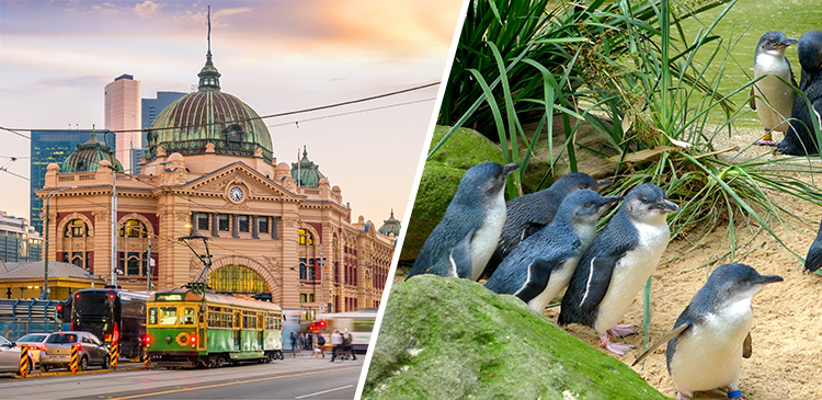 メルボルン ツアー写真