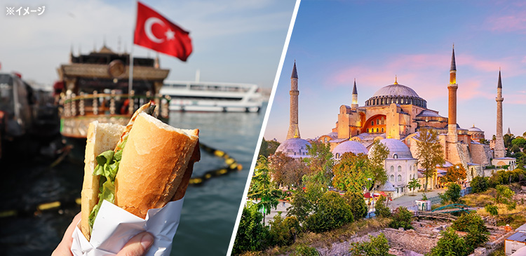 トルコ料理食べ歩き＆旧市街観光ツアー付きイスタンブール ツアー写真