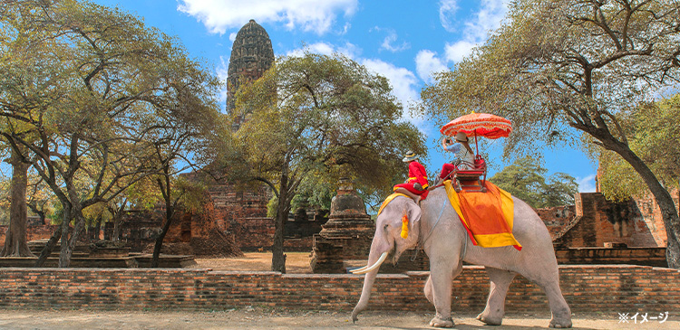 人気スポット3つを巡る観光付きプラン ツアー写真