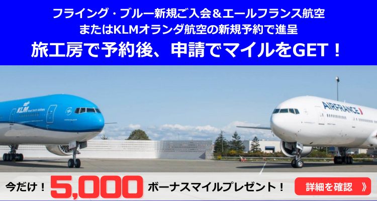 フライング・ブルー20周年キャンペーン