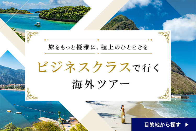 ビジネスクラスツアーを探す