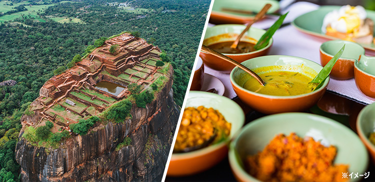 キャセイパシフィック航空│スリランカ周遊 ツアー写真