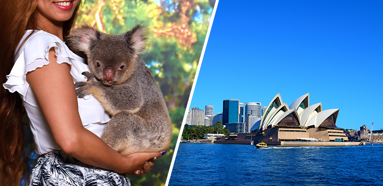 ケアンズ＋シドニー ツアー写真