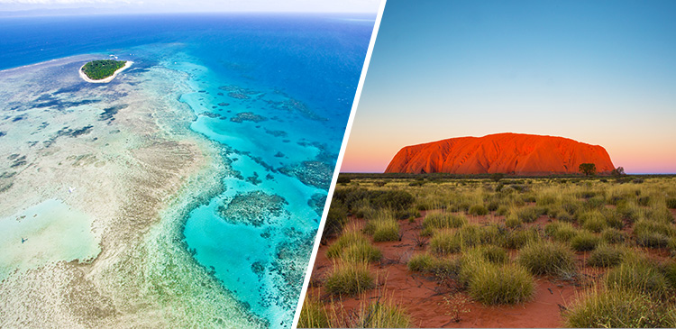 ケアンズ＋エアーズロック ツアー写真