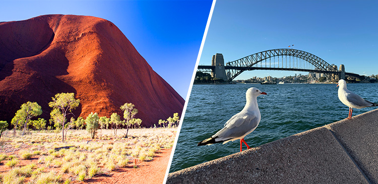 ケアンズ＋エアーズロック＋シドニー ツアー写真