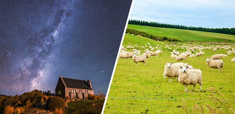 ニュージーランド3都市周遊 ツアー写真