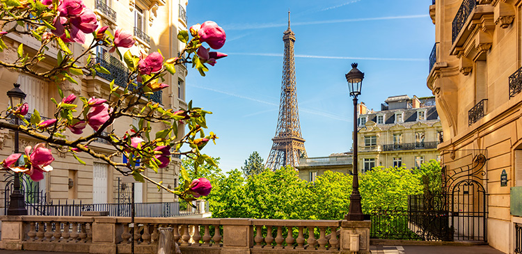 ローマ＋パリ ツアー写真