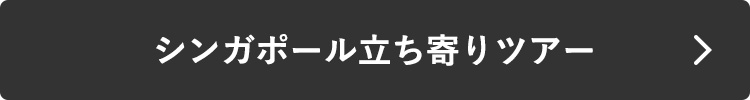 シンガポール立ち寄りツアー