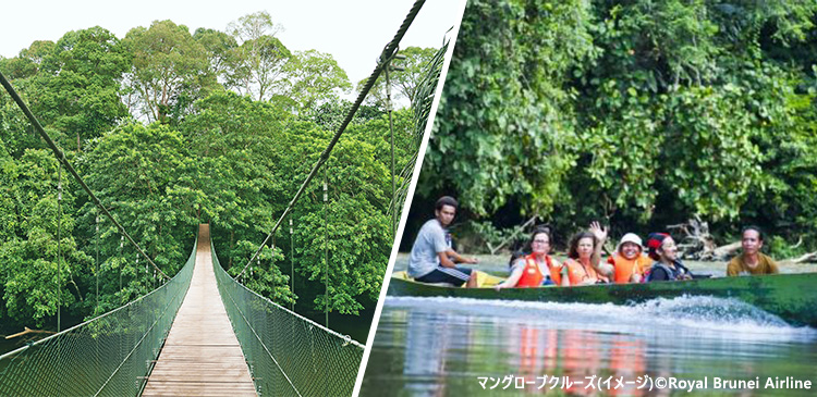 国立公園1日アクティブツアー付き ブルネイ ツアー写真