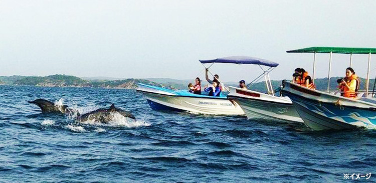 世界遺産＋ホエールウォッチング＋ジープサファリ ツアー写真