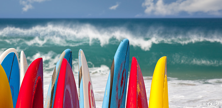 ザ・101・ホテル・バリ・オアシス・サヌール ツアー写真