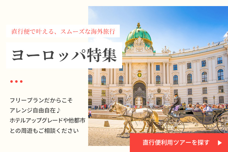 直行便利用ツアーを探す