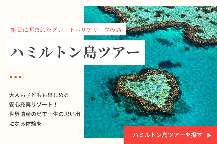 ハミルトン島ツアーを探す