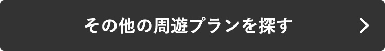 ビジネスクラスツアーを探す