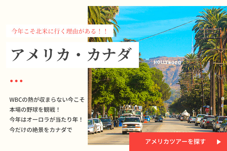 アメリカツアーを探す