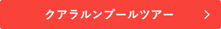 クアラルンプールツアーはこちら