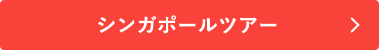 シンガポールツアーはこちら