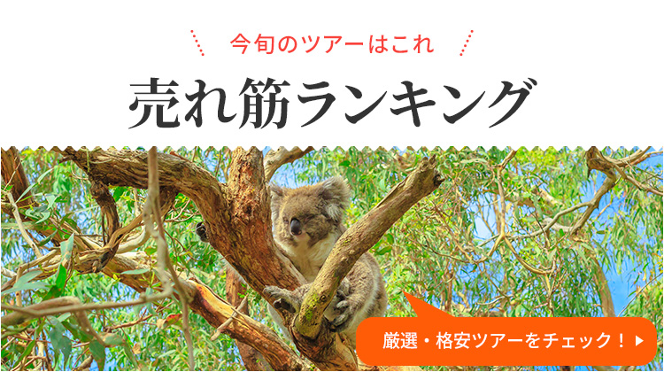厳選・格安ツアーをチェック！