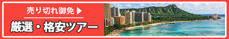 厳選格安特集
