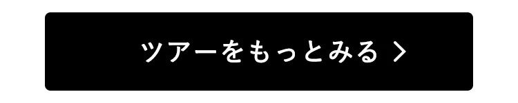 ツアーをもっとみる