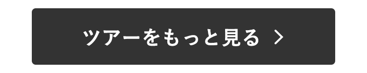 ツアーをもっとみる