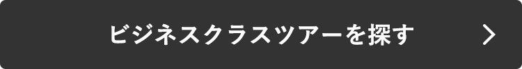 ビジネスクラスツアーを探す